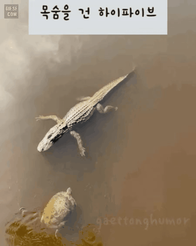 GIF_20260319_085132_404.gif
