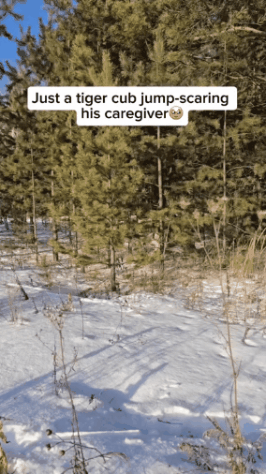 GIF_20260319_085605_584.gif
