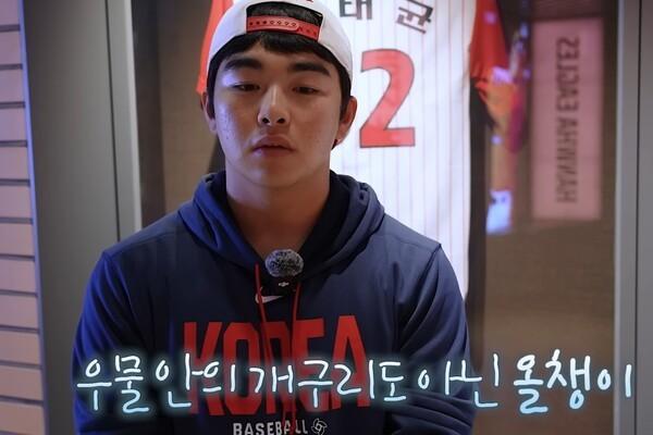 올챙이.jpg