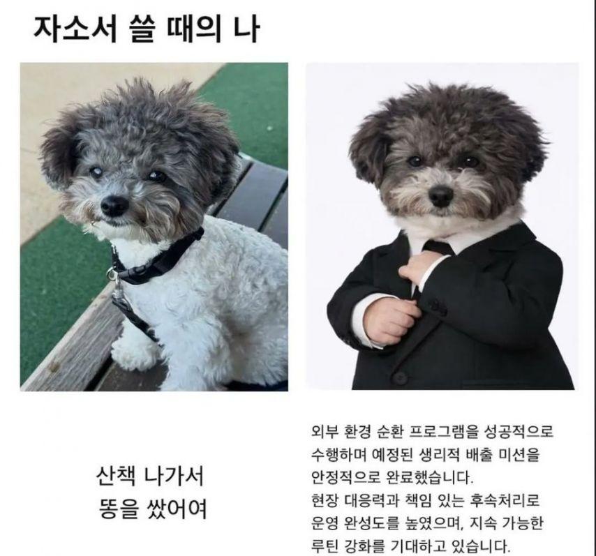 자소서.jpg