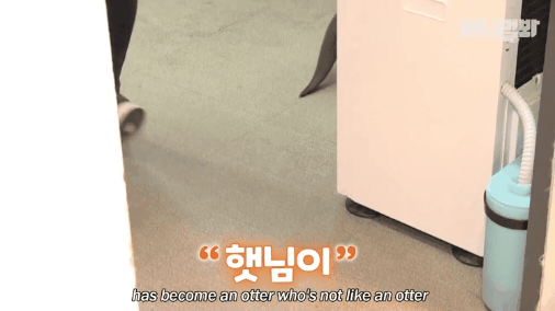 GIF_20260319_141344_389.gif