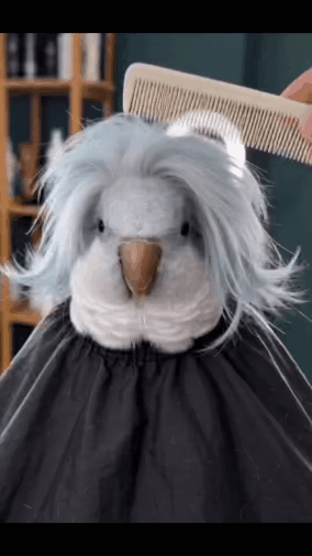 GIF_20260319_141700_602.gif