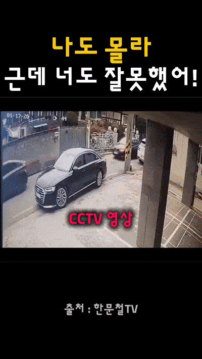 1000041781.gif