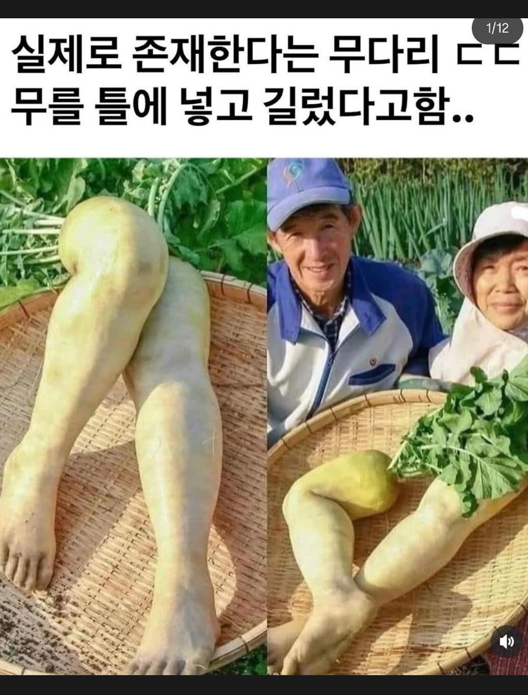 1000029980.jpg