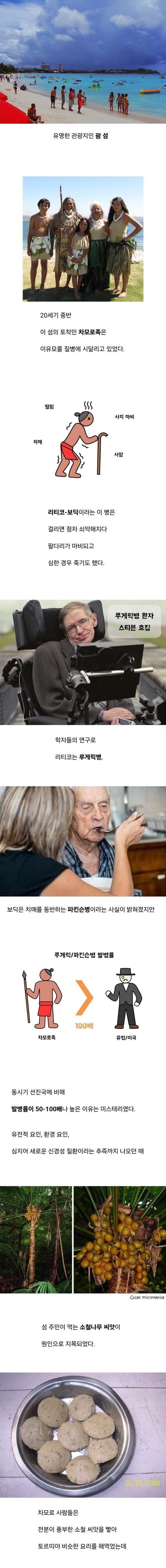 1000093591.jpg