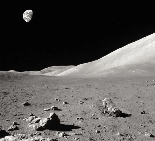 GIF_20260320_194640_678.gif
