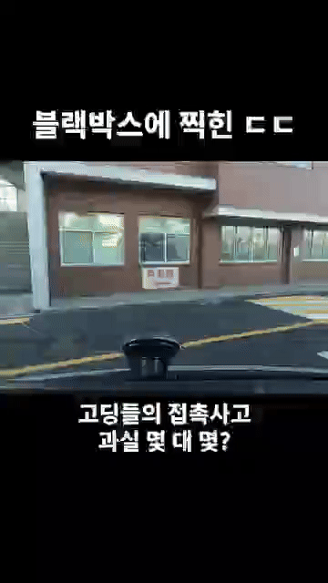 3343a5d281277a9675f25ef41654d2fec4166727_20260321152935.gif