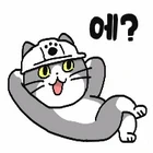 1000093682.webp
