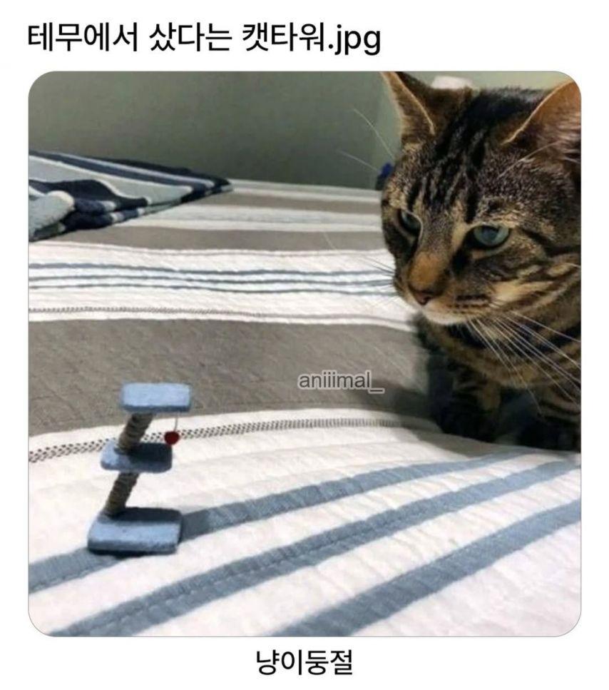 1000093684.jpg