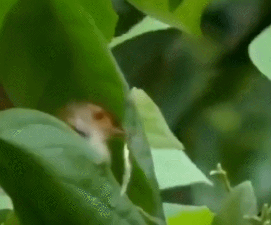 GIF 2023-01-26 오후 1-49-21.gif