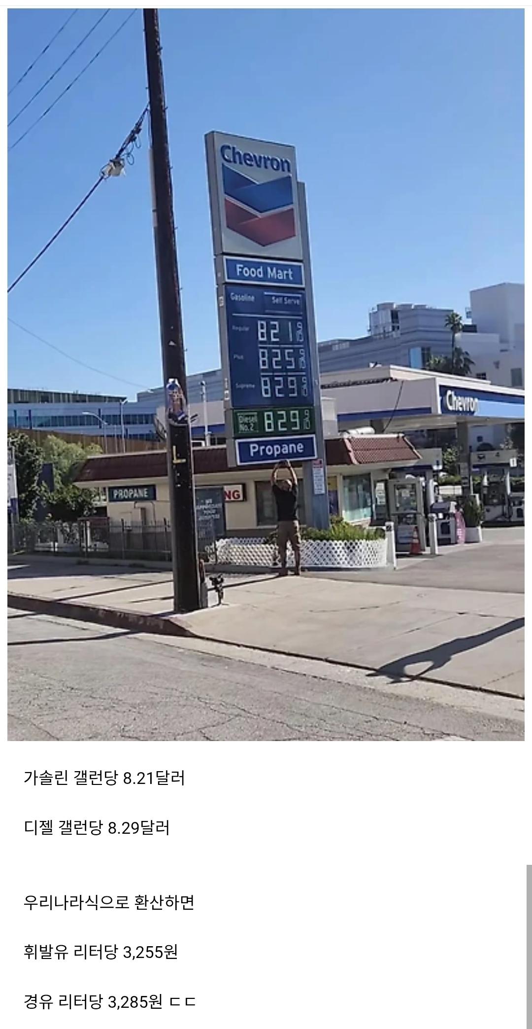 64166.jpg