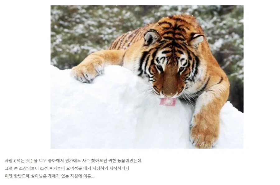 1000088899.webp