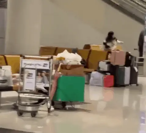 AC_[20260323-092434].webp