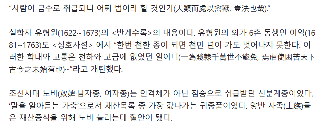 노비2.png