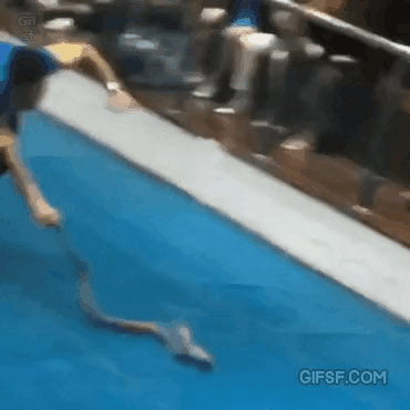 GIF_20260324_161550_230.gif