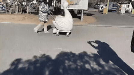 GIF_20260324_204838_253.gif