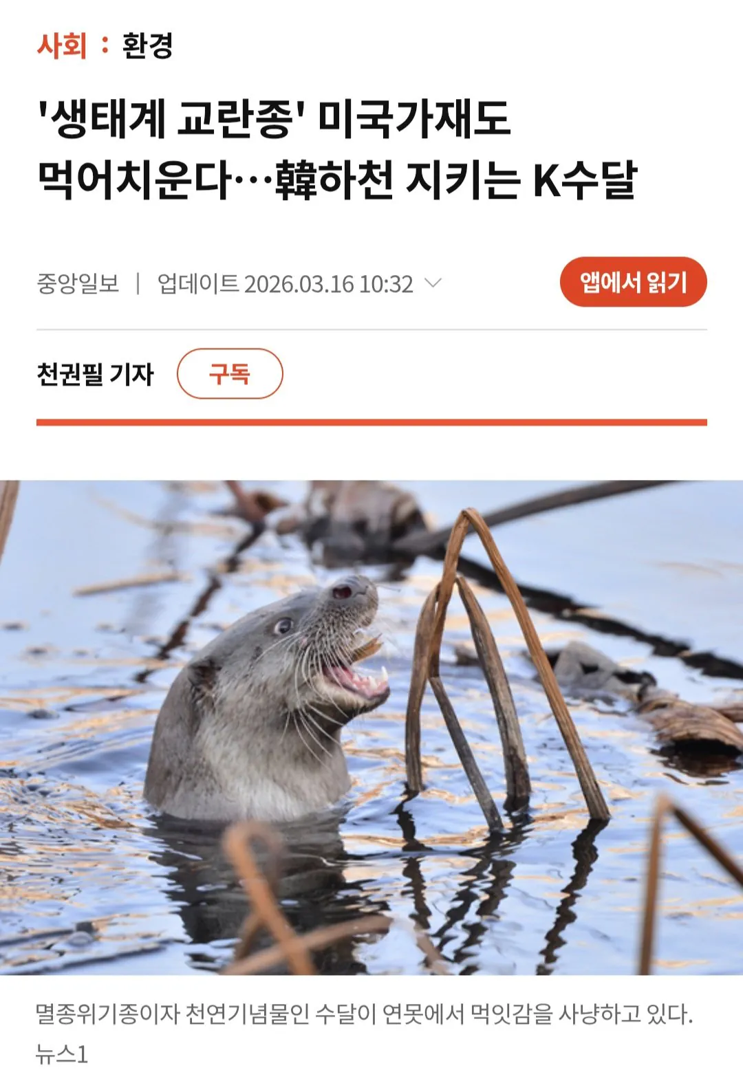 6179.webp