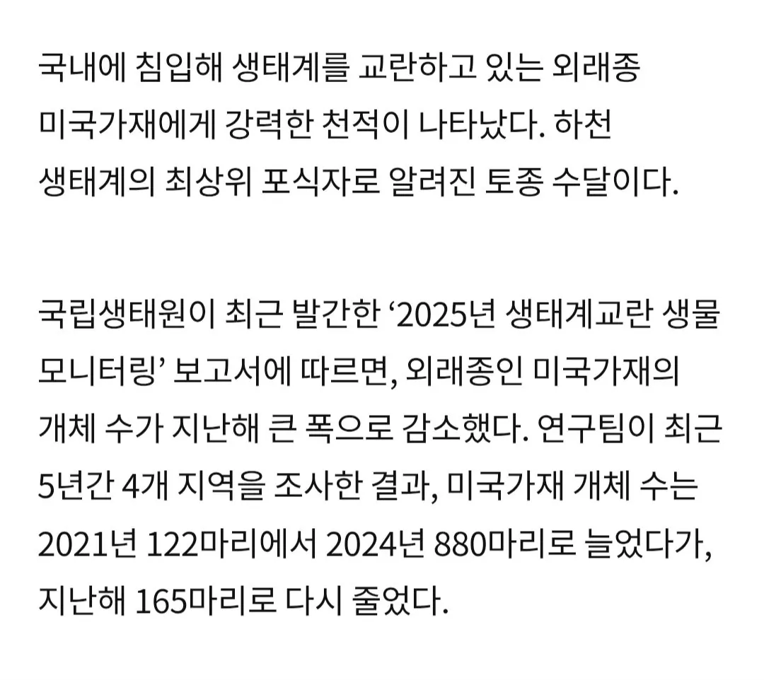 6180.webp