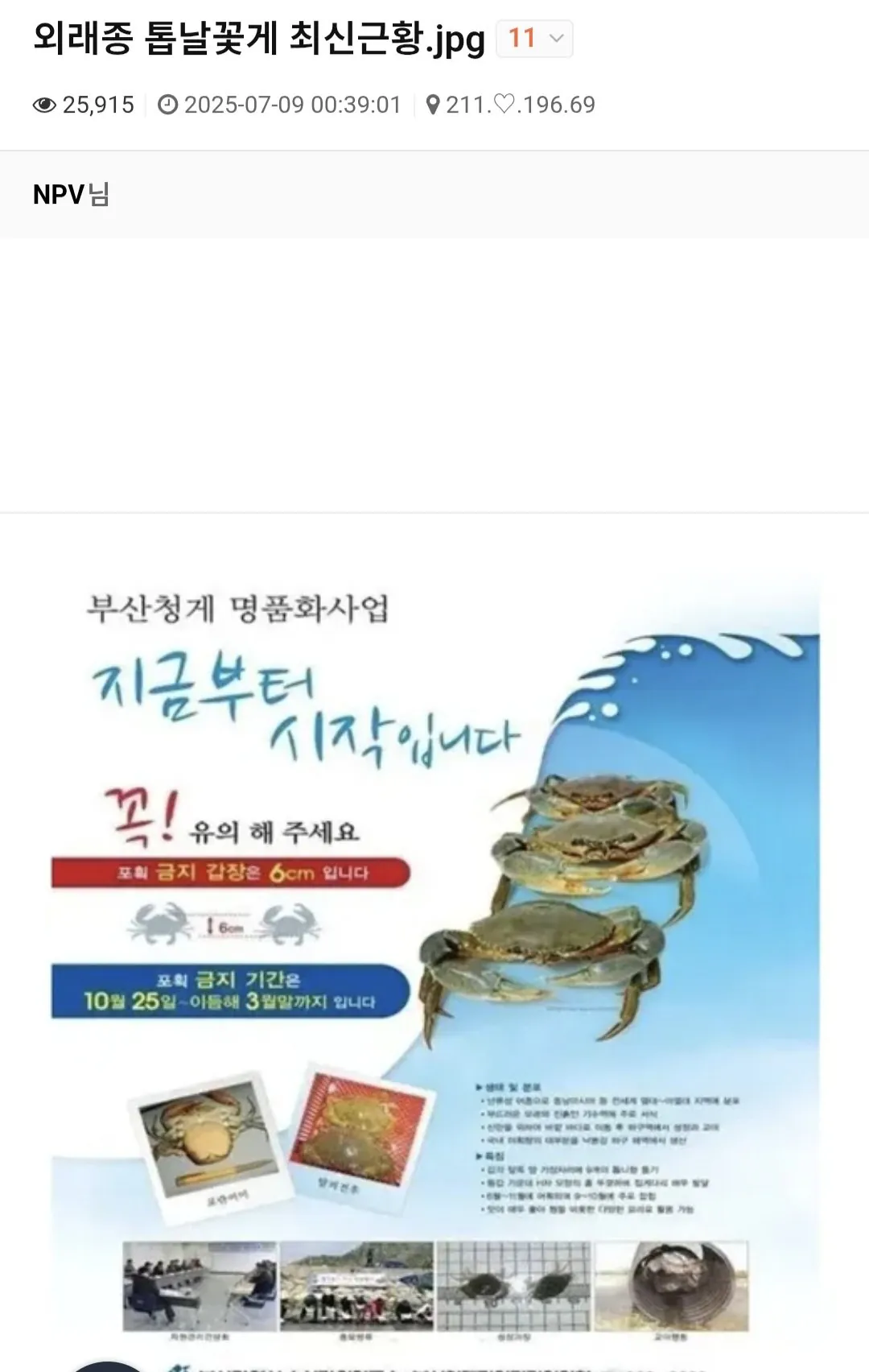 6184.webp