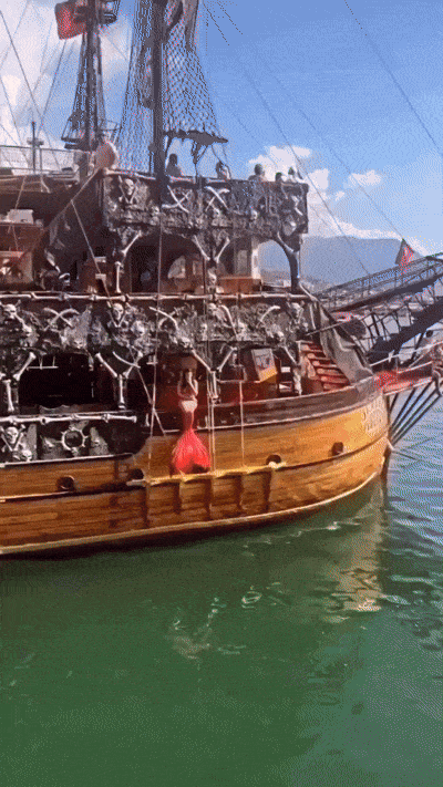 1000043238.gif