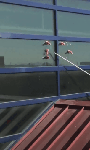 GIF_20260325_110714_377.gif