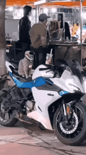 GIF_20260325_114145_513.gif