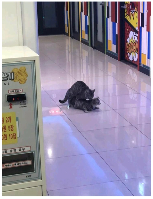 fa98744201558cfe47ed3d7ca5f37854.png