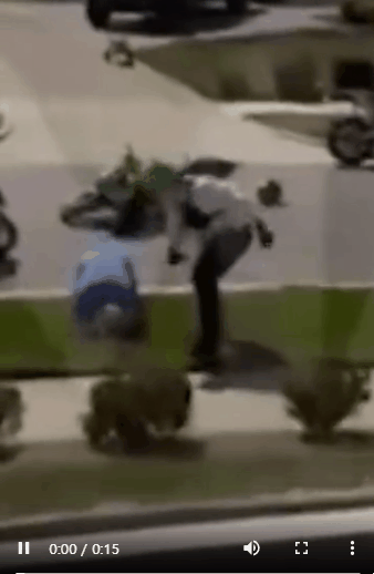 AC_[20260325-134229].gif