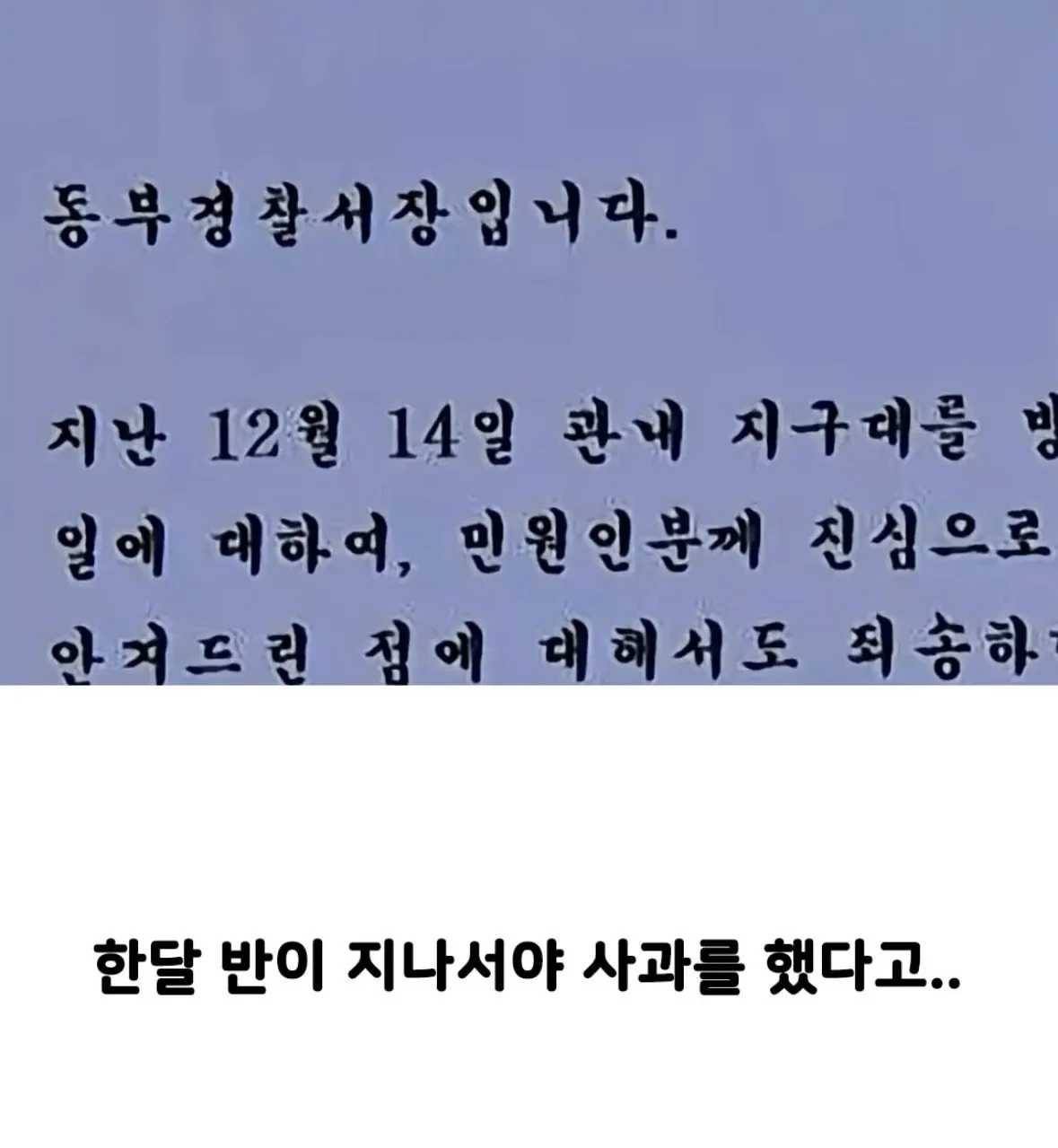 11.webp