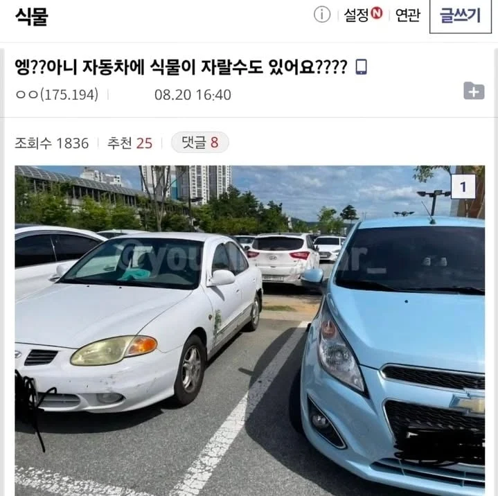풀옵션.webp