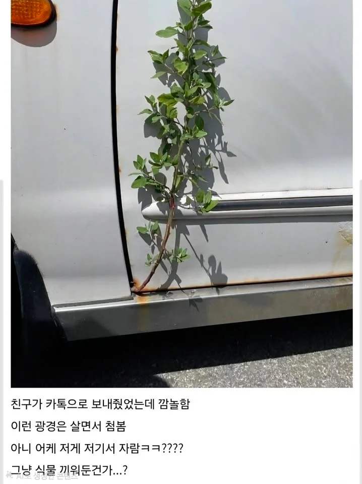 폴옵션3.webp
