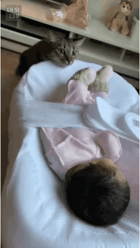 GIF_20260325_155415_611.gif