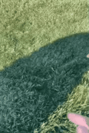 GIF_20260326_153834_870.gif