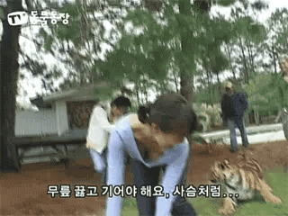 GIF_20260326_172006_663.gif