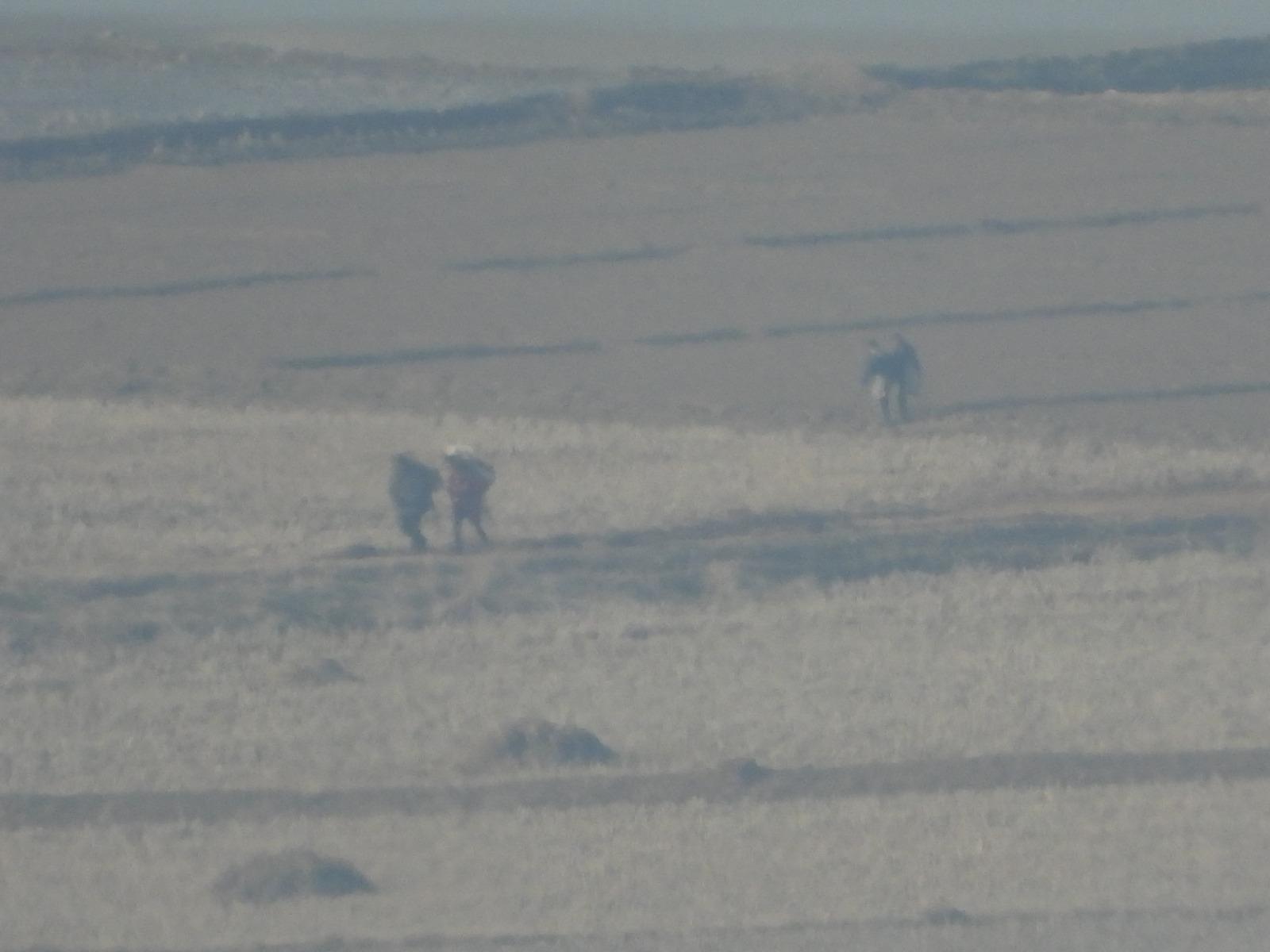 DSCN3668.JPG