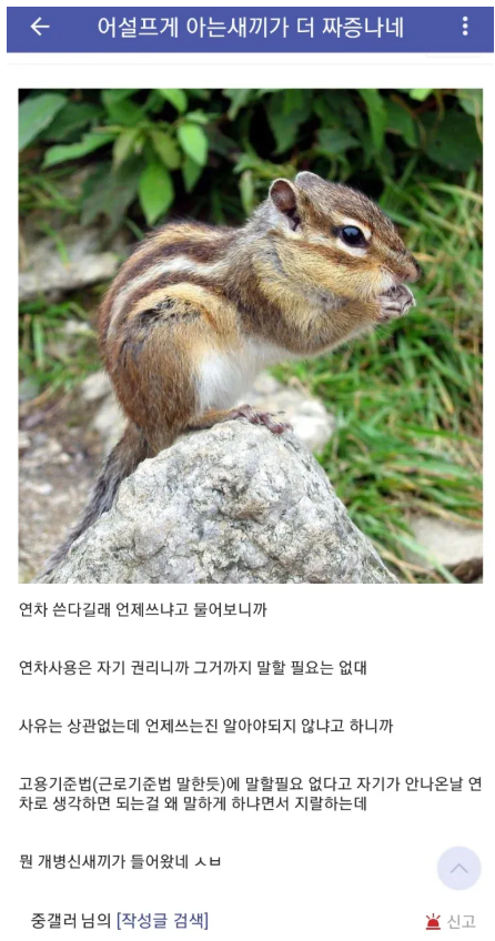 1000094766.png
