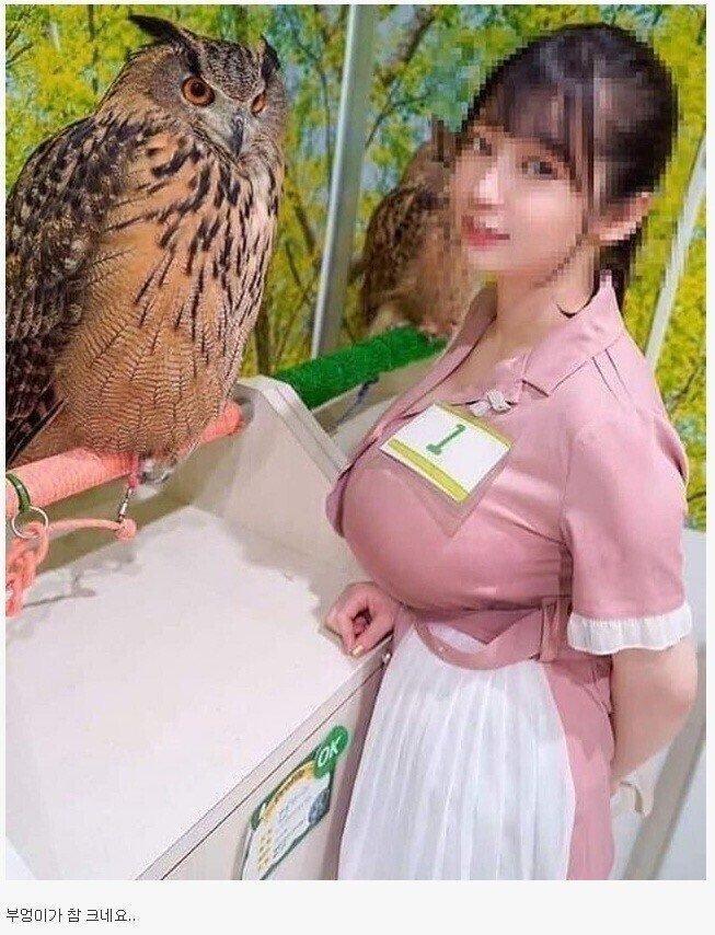 d8afa61d46a9e63bd906e4ea98df68e0.jpg