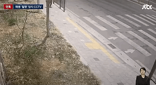 IMB_RQv4JM.gif