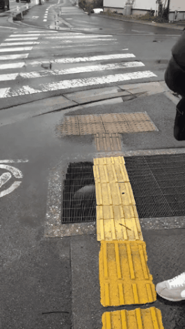 GIF_20260327_154704_262.gif