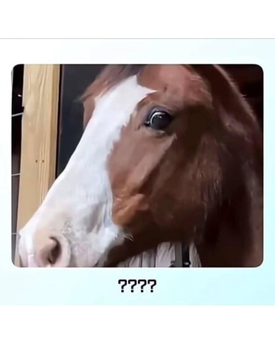 649141409_17991785711946047_1163355668853077367_n.jpg