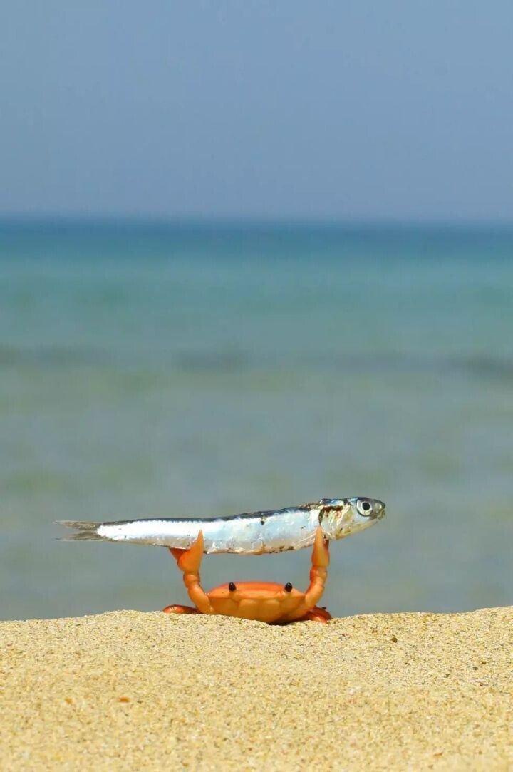 d5e3e8c9e925344e6cd364a76fef4cc3.jpg