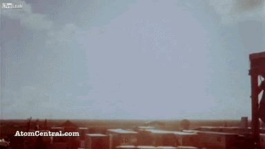 6340.gif