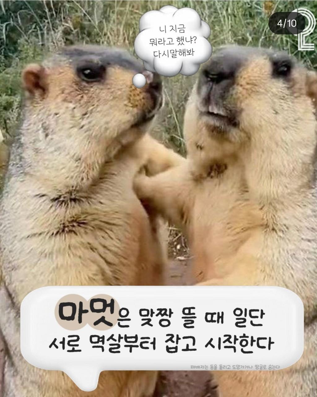 1000059758.jpg