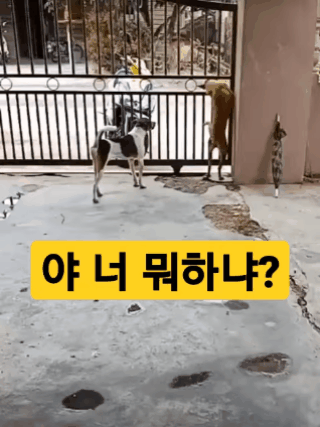 1000059765.gif