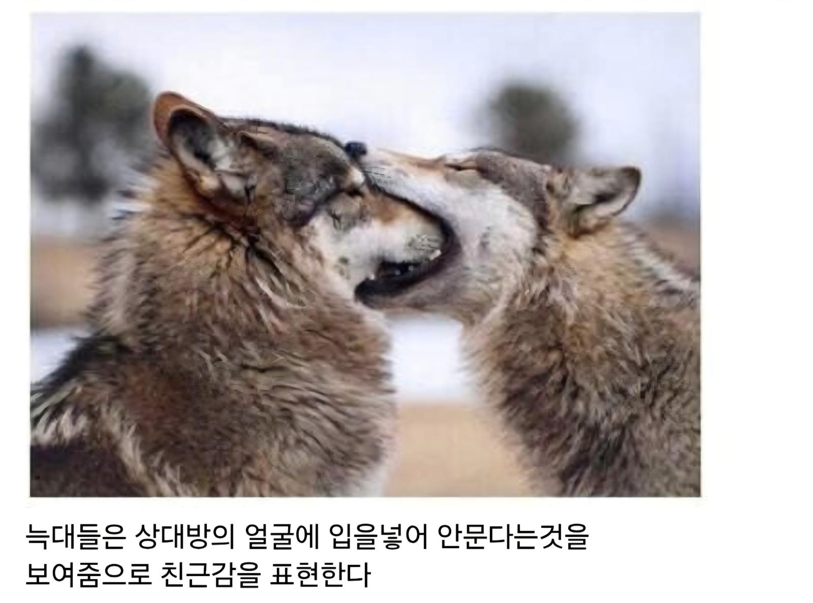 Screenshot_20260328_001134_Samsung Internet.jpg