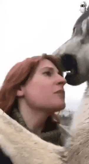 GIF_20260328_001232_156.gif
