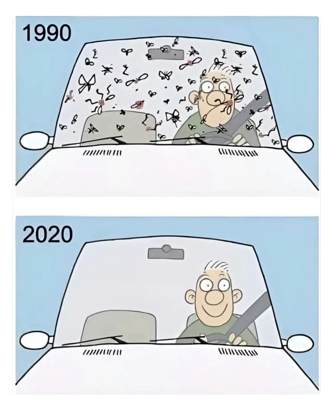 1000090246.jpg