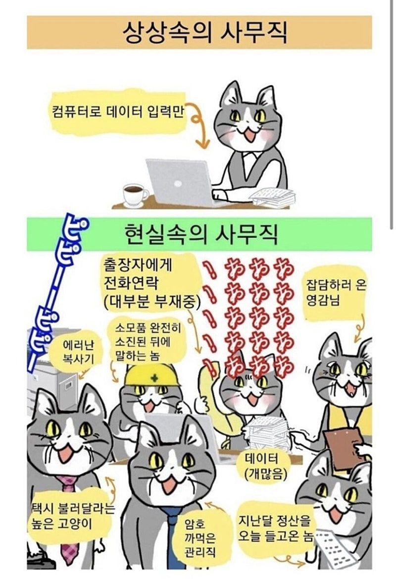 1000094851.jpg