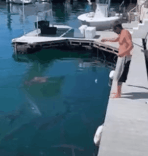 GIF_20260328_120451_703.gif