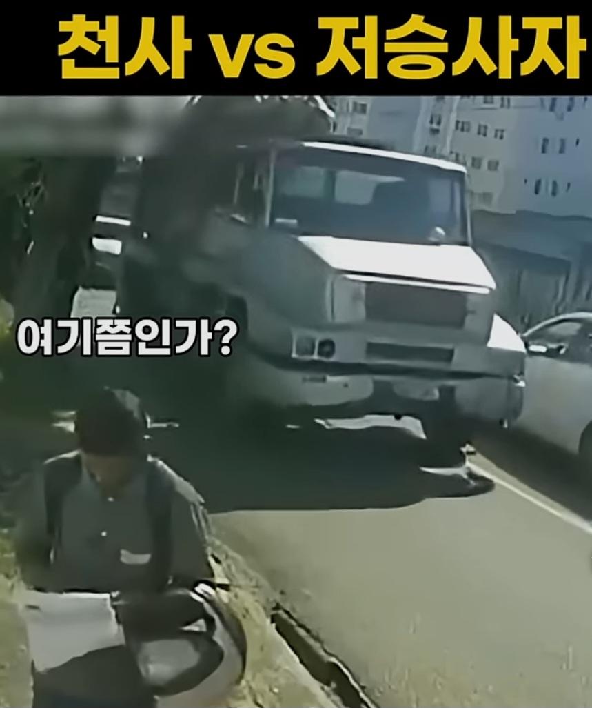 42830.jpg